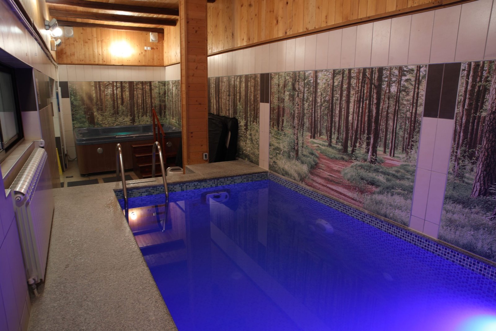 Spa and wellness facilities at Hotel Junior Kopaonik
